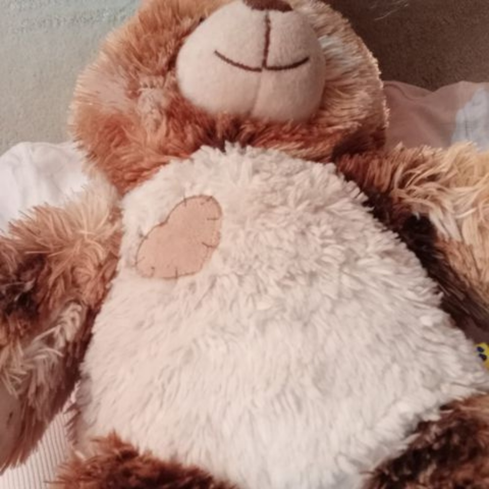 Meet your Posher, Raven